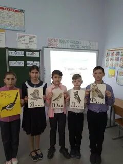 Мбоу лысогорская сош
