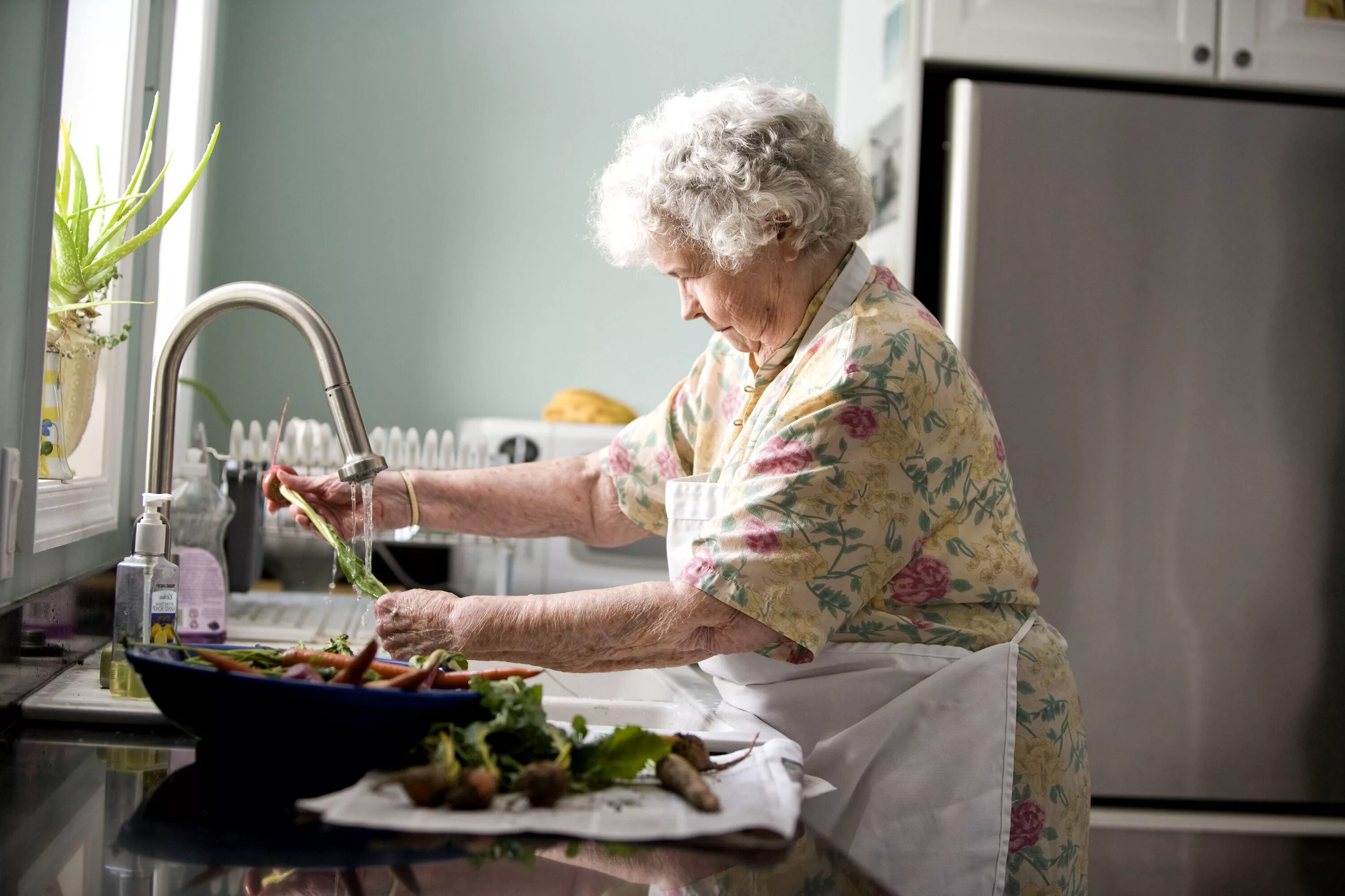 Домашнее хозяйство пенсионерки