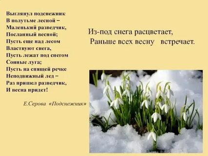 Выглянул подснежник в полутьме автор