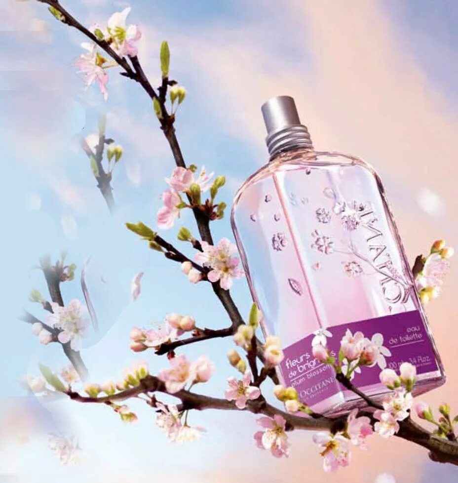 Blossom парфюм. Cult Floral Blossom Парфюм. Духи Plum. Cherry Blossom духи. L'Occitane плакат.