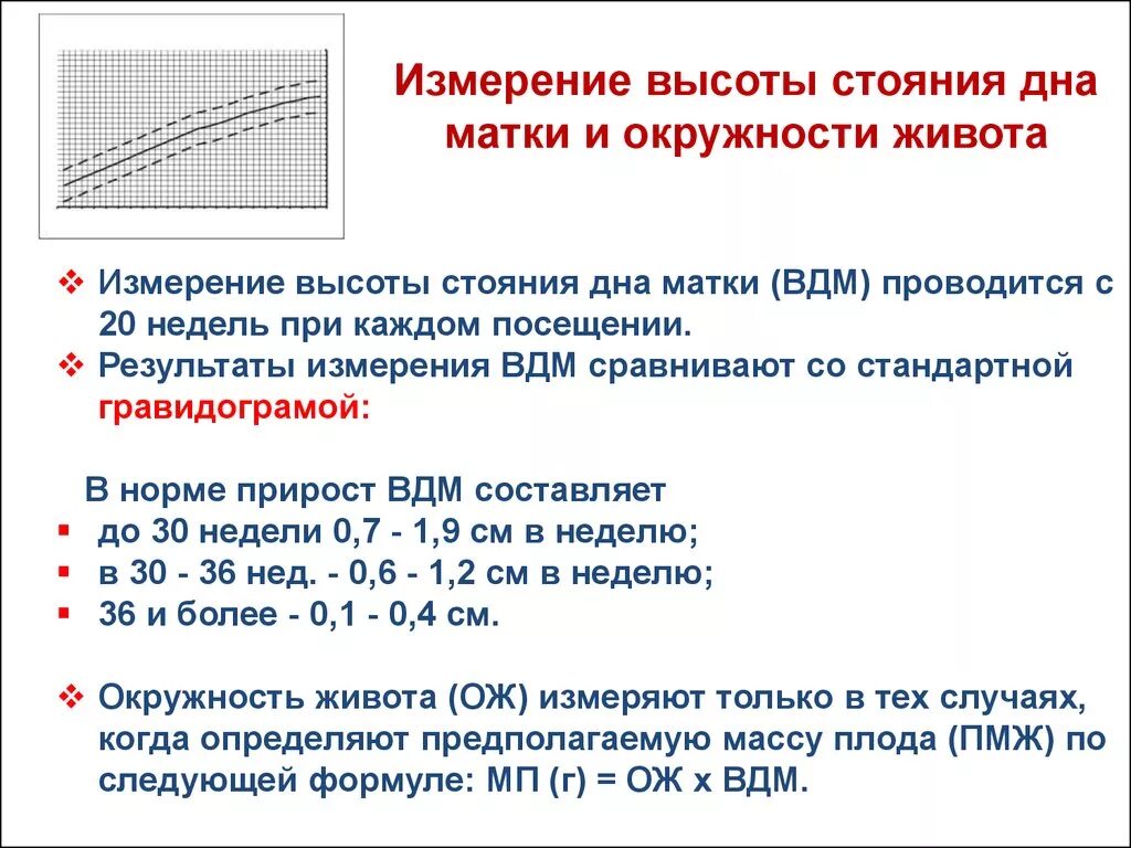 Высота стояния дна матки алгоритм