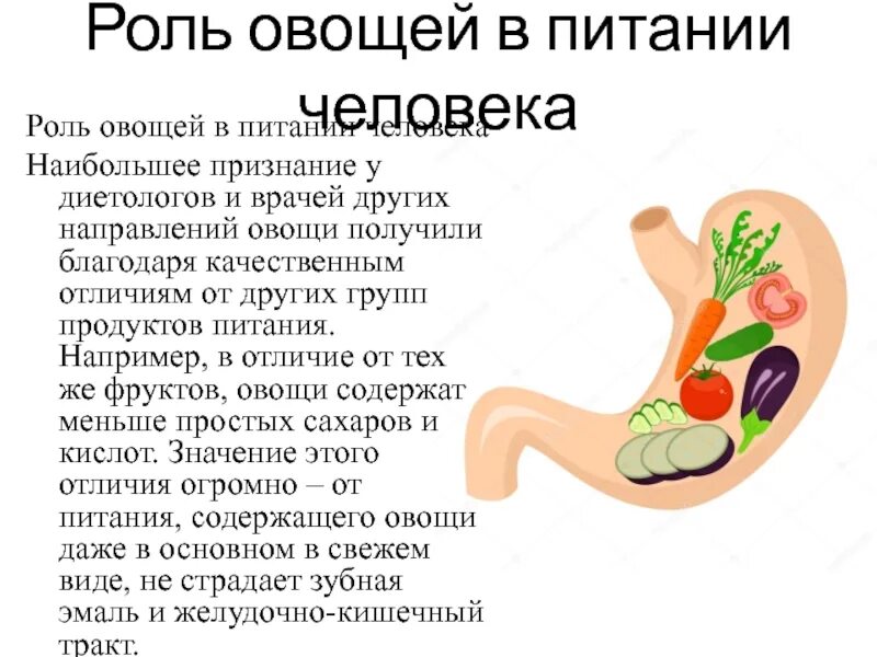 Проект значение овощей в питании человека Для чего нужны овощи в питании человека