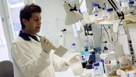 Scientists believe