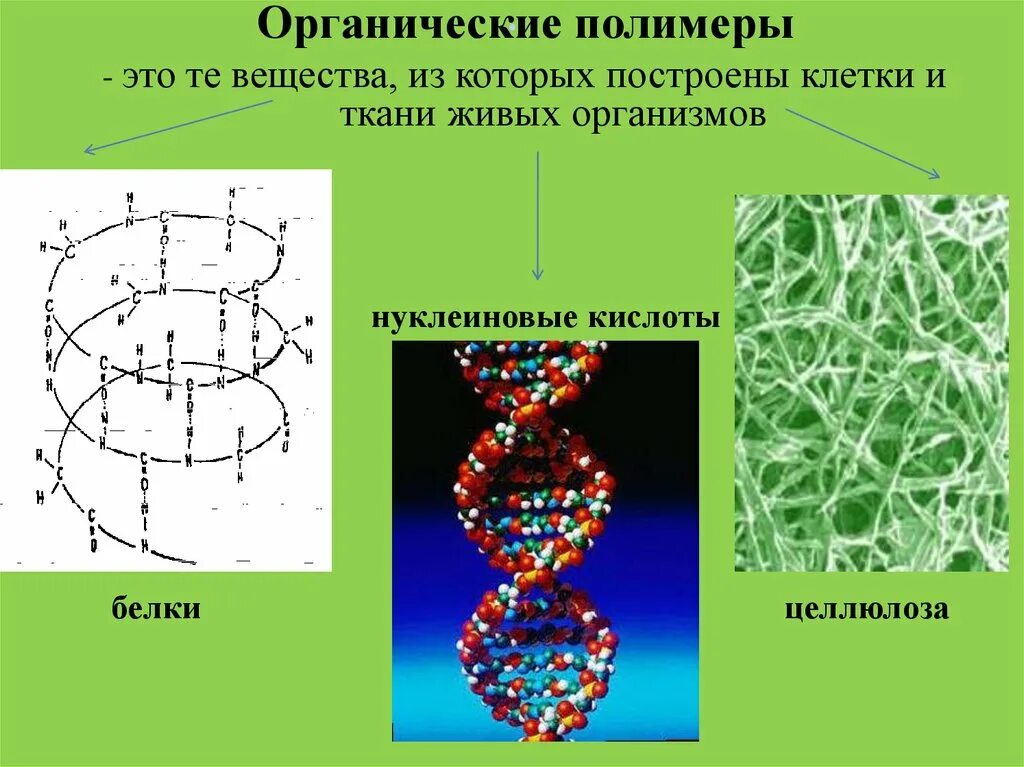 Полимеры это соединения. Органические соединения полимеры. Полимеры классификация органических веществ. Органические вещества полимеры. Полимерное строение органического вещества.