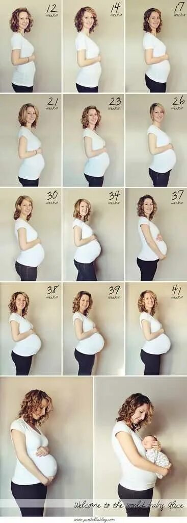Живот на втором месяце. Живот на месяце беременности. Живот беременной по месяцам. 4 Месяц беременности.
