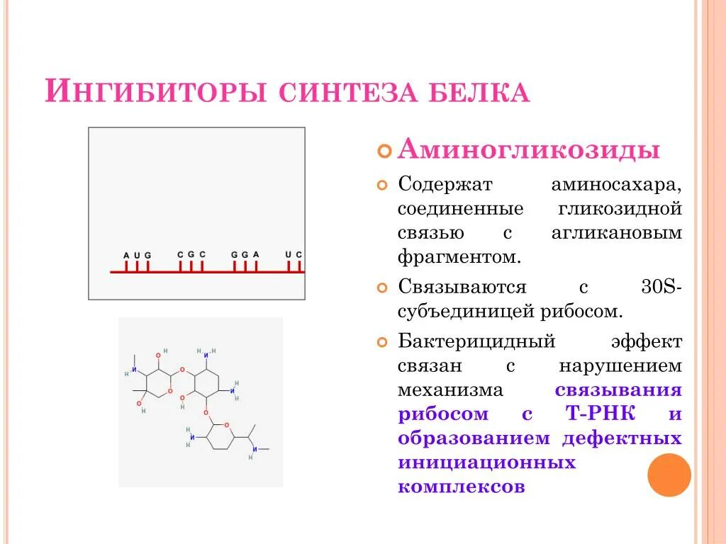 Ингибирование белкового синтеза антибиотики. Антибиотики ингибиторы синтеза белка механизм. Ингибирование синтеза белка. Ингибиторы биосинтеза белка. Ингибиторы белка