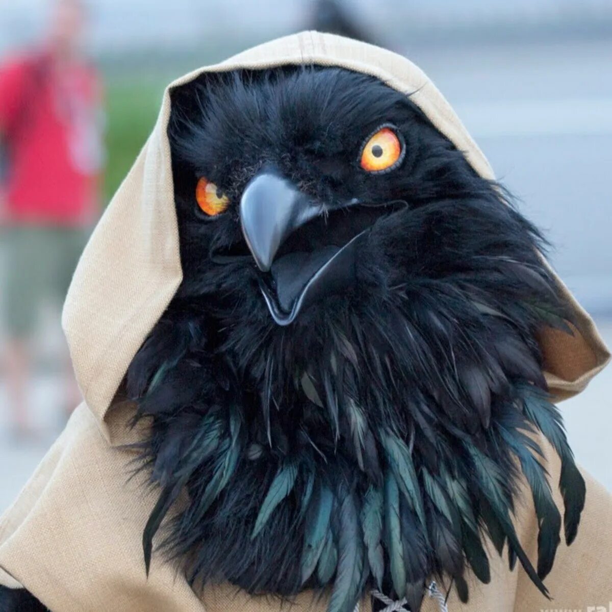 D d cosplay. Ворона кенку. Кенку монах. Кенку бард. Кенку [Kenku].