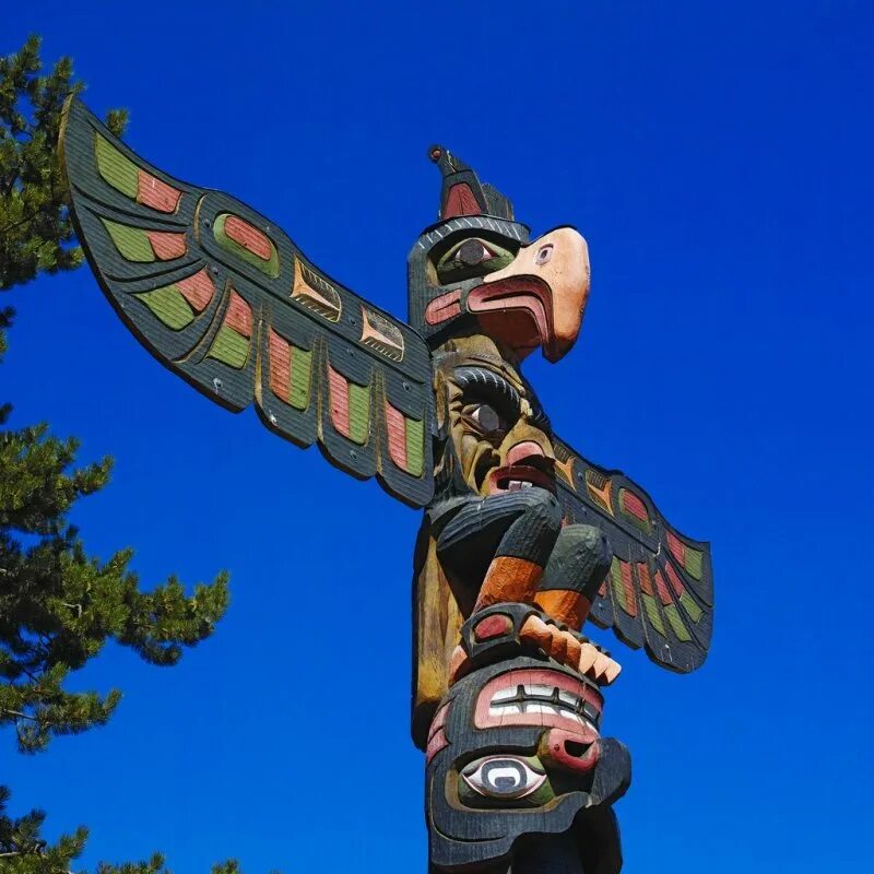 тотема город. тотема город. тотема 50 мг ампулы. тотема 100 мг. тотемизм индейцев северной америки.