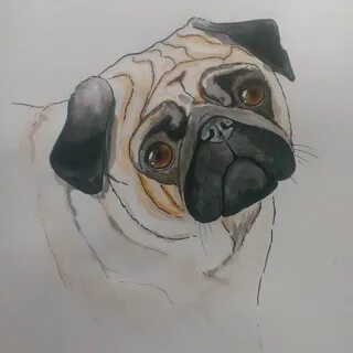 Рисунок мопса