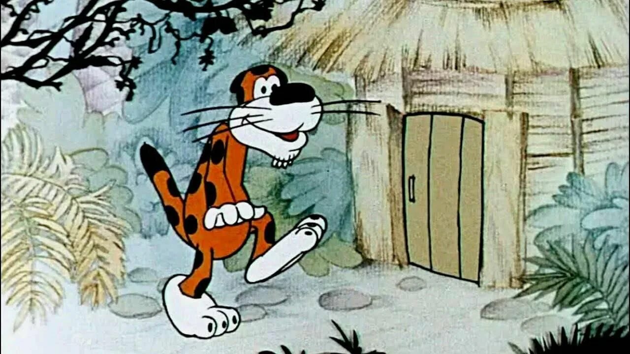 Дом для леопарда. Дом для леопарда 1979. домик для леопарда.