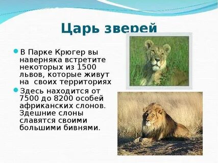 1500 лев