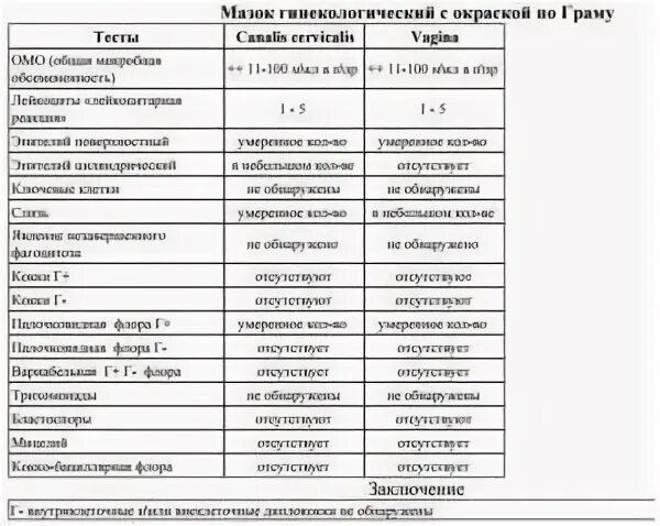 Сдать мазок при месячных. Сдать мазок при месячных