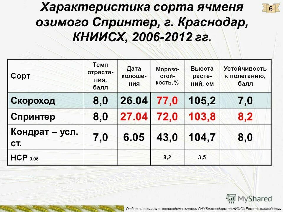 Озимый ячмень ерема описание сорта норма высева. Болезни ячменя озимого. Характеристика озимого ячменя. Ячмень яровой предшественники. Урожайность ярового ячменя.