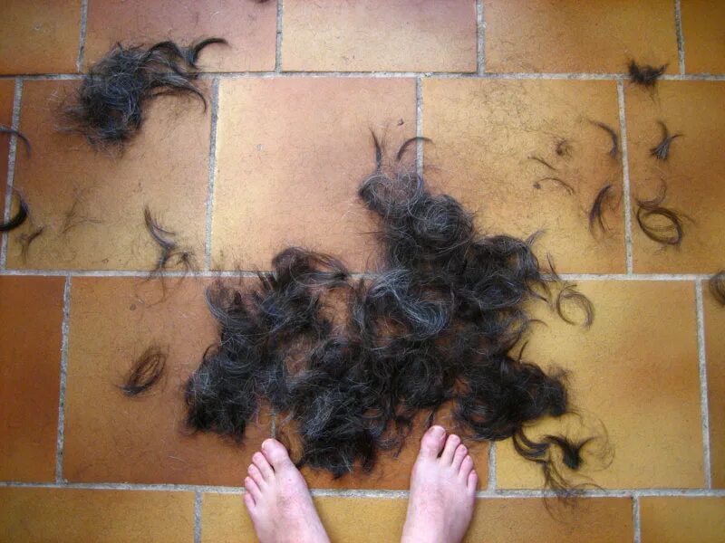 Best hairy. Состриженные волосы на полу. Черные волосы на полу отстриженные.