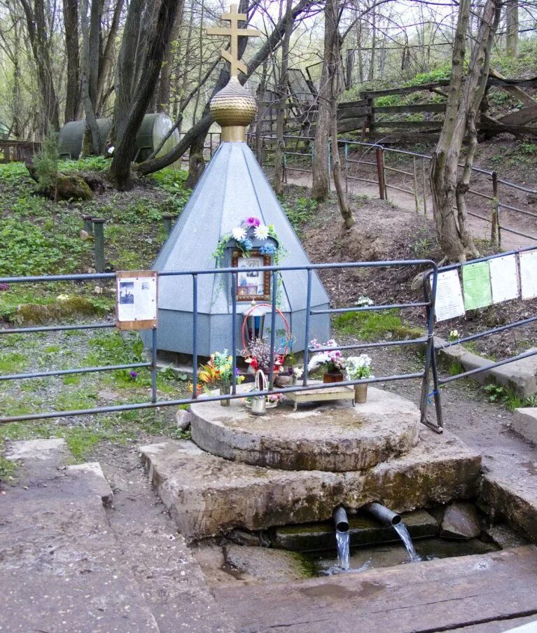 Родники мама. Родник Рудненской Божьей матери. Источник Рудненской иконы Божией матери в Крылатском. Родник каменная клетва. Родник Рудненская Божья Матерь.