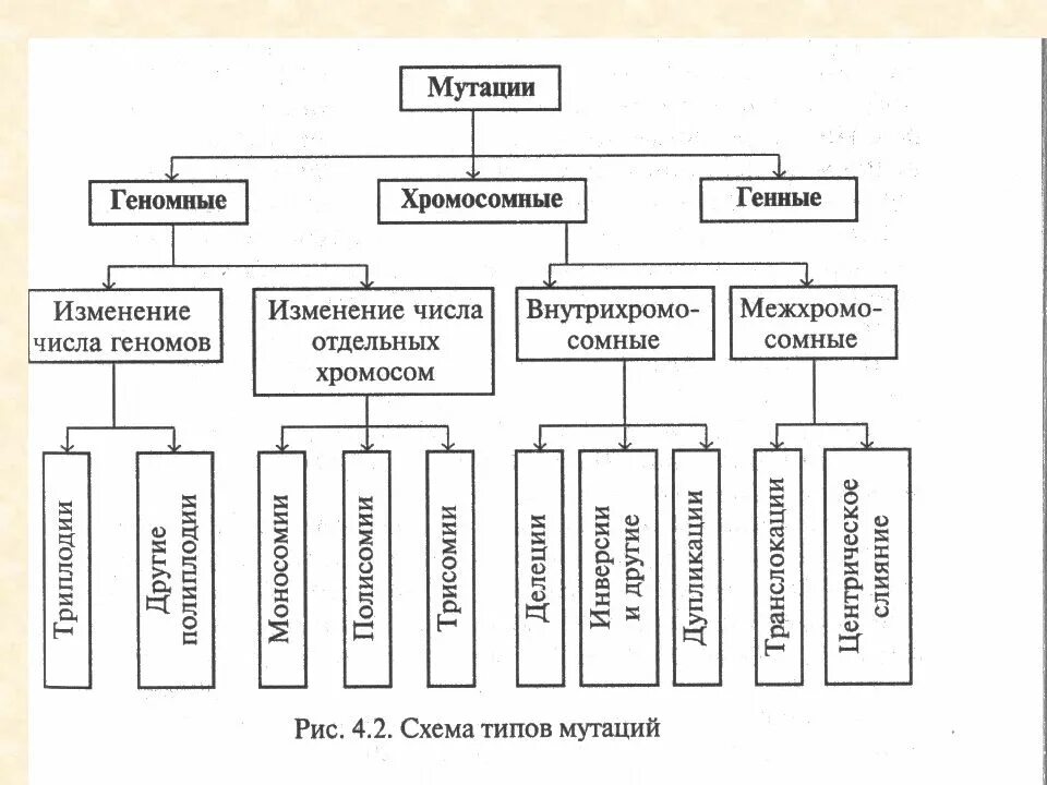 Классификация хромосомных болезней схема. Болезни хромосомные генные геномные таблица. Геномные мутации синдромы таблица. Хромосомные мутации схема.