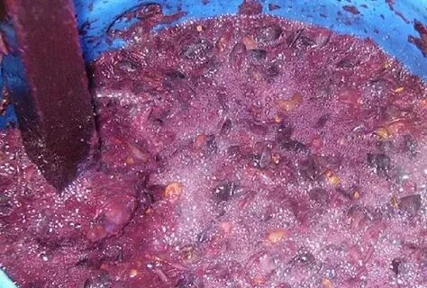 Брожение виноградного сока или варенья
