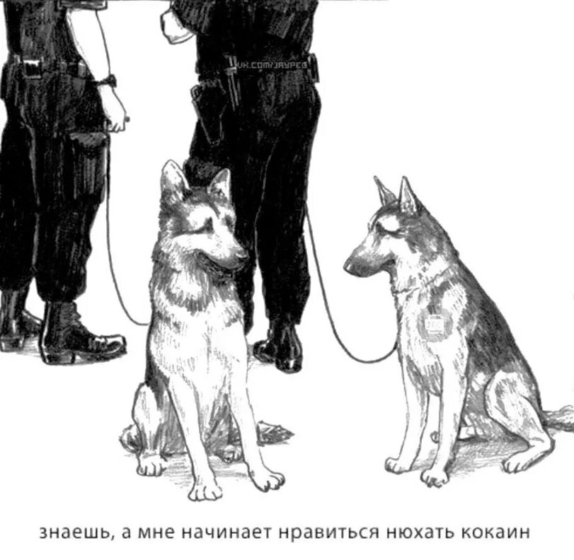 Нравится нюхать. Нравится нюхать