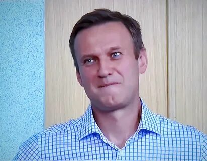 Карнаухов о навальном
