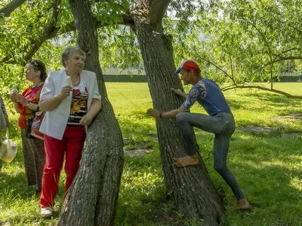 Детский парк в коломенском
