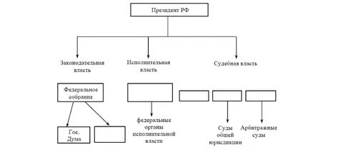Заполните пропуски в схеме высшие органы государственной