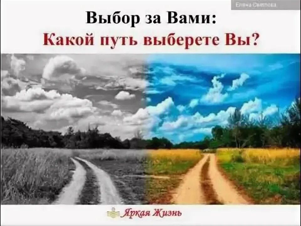 Какой путь выберешь ты. Какой путь выберешь ты