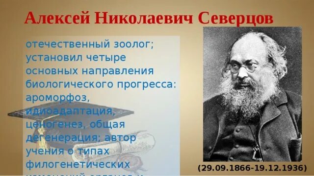 Северцов вклад в биологию