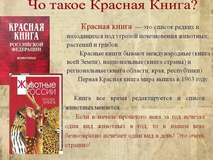 Кто подготовил и выпустил красную