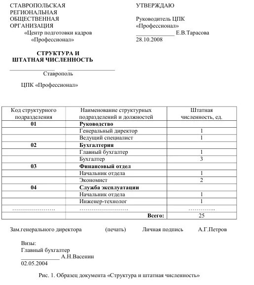 Штатная численность государственного учреждения. Структура и штатная численность штатное расписание. Структура и штатная численность организации пример. Форма документа структура и штатная численность предприятия. Структура и штатная численность предприятия пример.