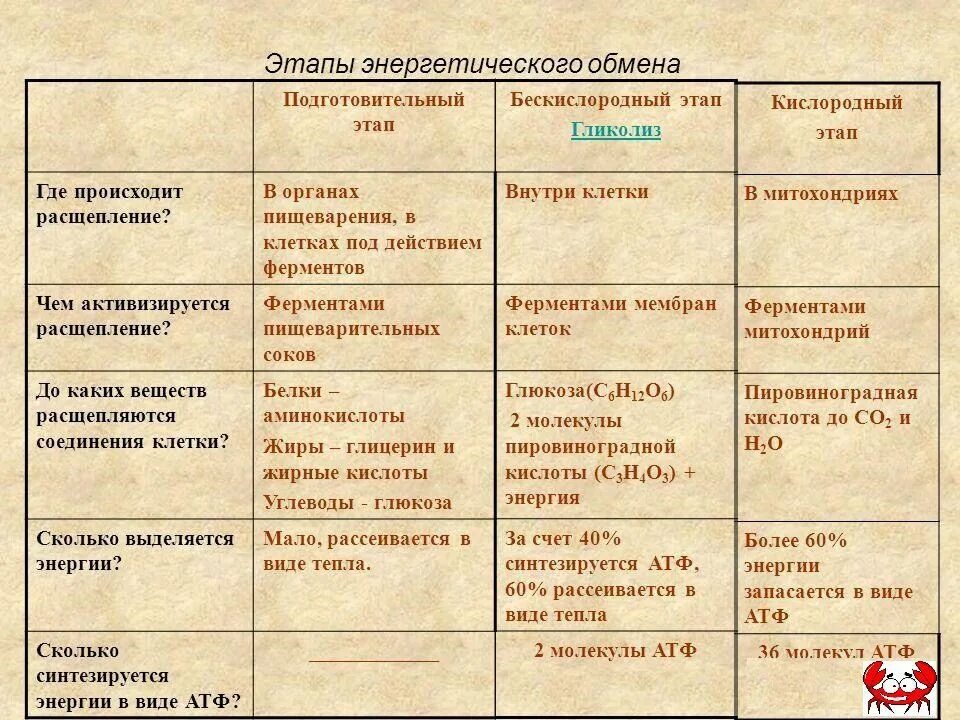 Где происходит данный процесс