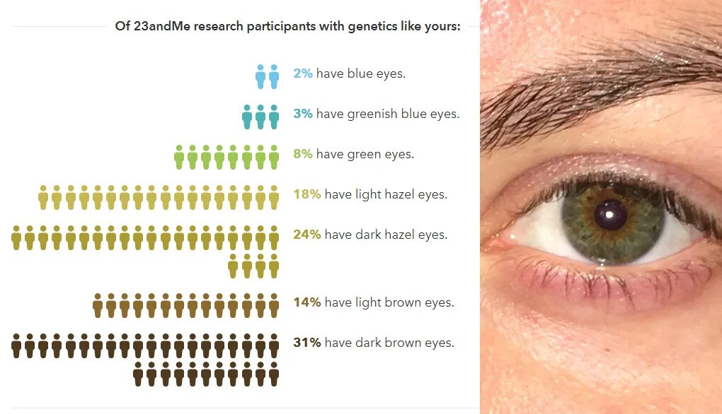 Цвет глаза зависит от пигмента. Генетика цвета глаз человека таблица. Распространенность цветов глаз. Процент цвета глаз. Генетика цвета глаз человека.