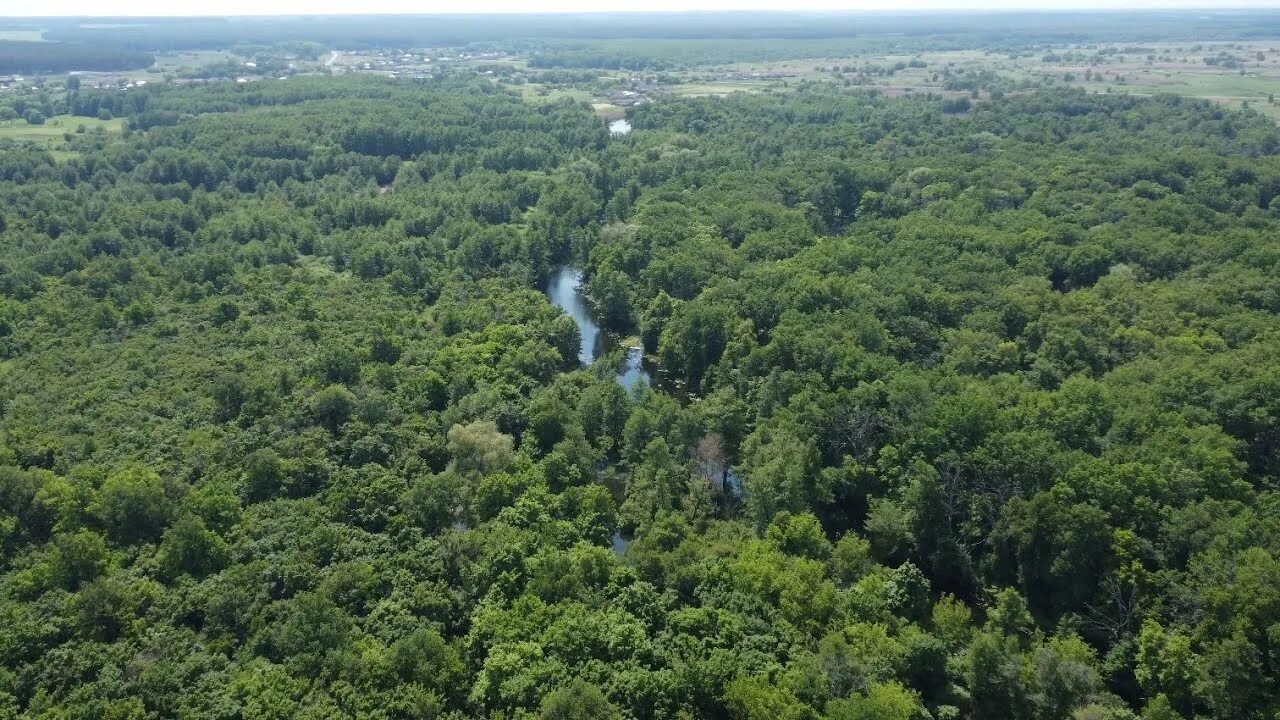 Кутки воронежская область