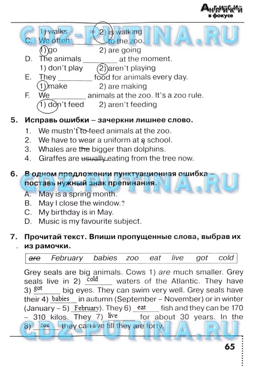 Английский язык 4 класс сборник упражнений стр 65. Гдз английский 4 класс сборник упражнений Быкова в фокусе. Сборник упражнений по английскому 4 класс Быкова. Гдз по английскому сборник упражнений 4 класс стр 70.