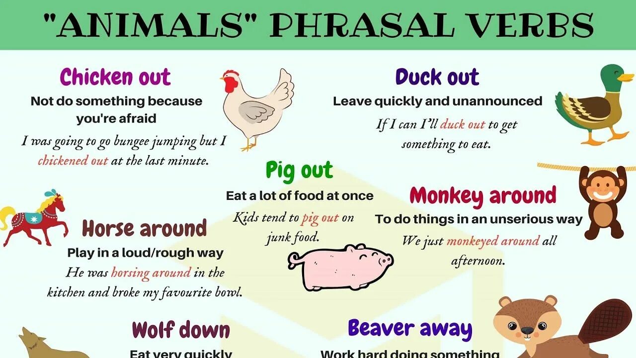 Pet глагол. Phrasal verbs with animals. Идиомы с животными на английском. Phrasal verbs for animals. Animal verbs in English.