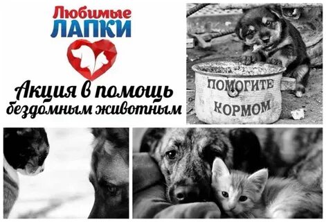 Приют любви