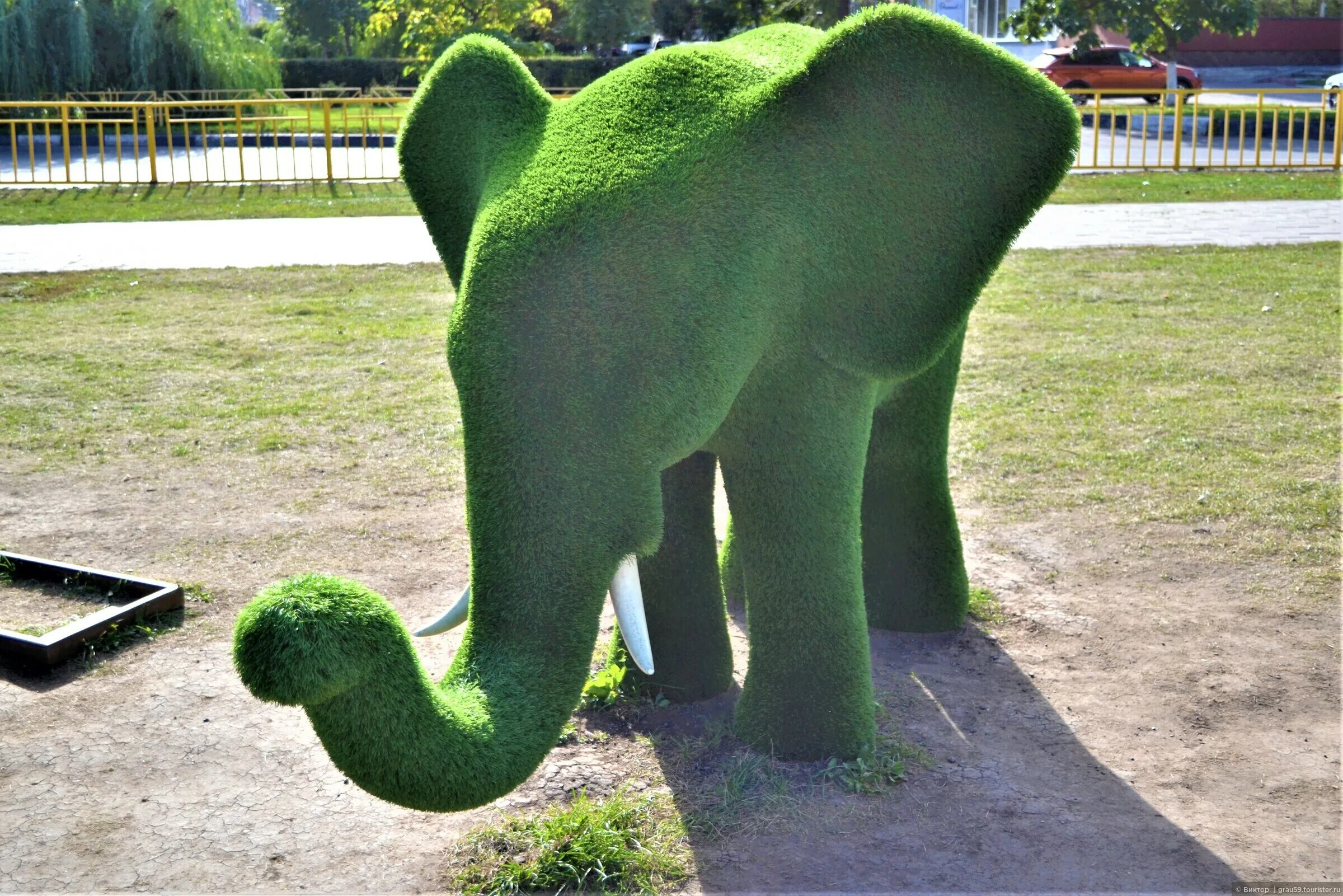 Зеленый слон Саратов. Зелёный слон беседка Саратов. Сквер имени Фридриха Энгельс. Зеленая слоновая