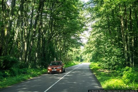 Коса дорога