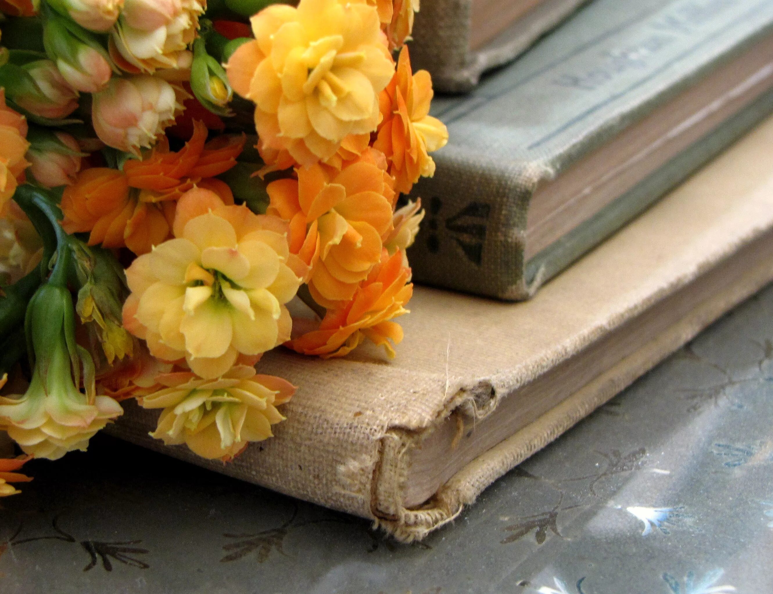 О д т цветших. Книга цветы. Букет цветов и книга. Книга с цветами. Красивые книги.