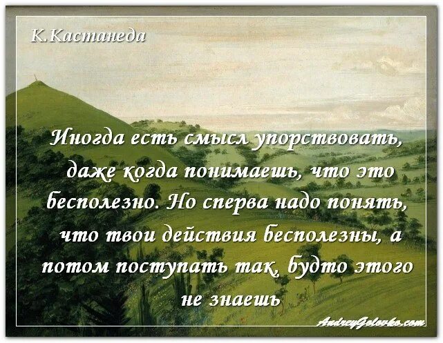 Хуана цитаты. Дон хуан цитаты. путь воина дон хуан цитаты. высказывания дона хуана. цитаты дона хуана.