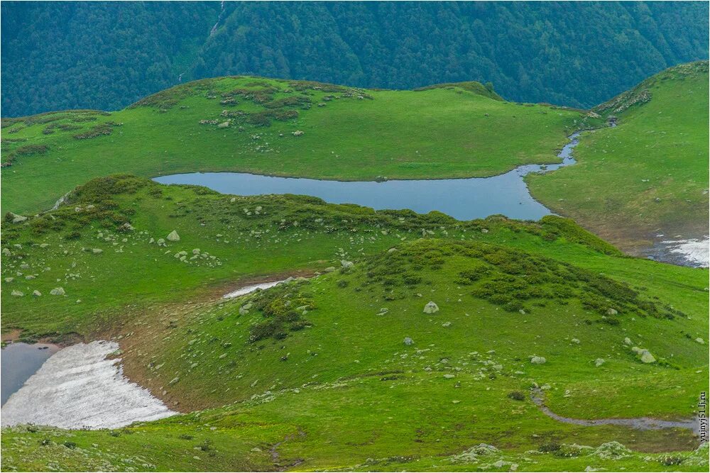 Долина семи озер и Альпийские Луга Абхазии. Семь озер Абхазия. Долина озер Абхазия. Долина 7 озер Абхазия. 7 озер в мае