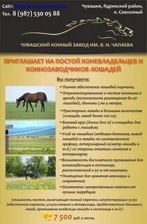 Чувашский конный завод