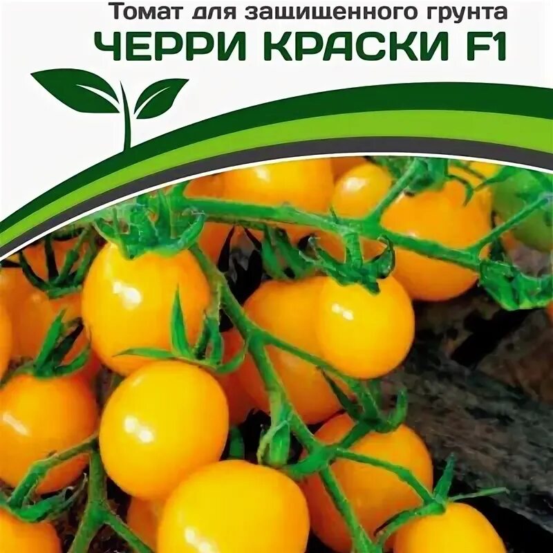 Томат черри дюкре f1. Томат черри краски. Томат черри краски f1 партнер. Томат черри краски f1. Томат черри ира f1 5 шт семко.