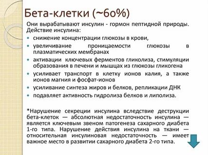 Функции бета клеток