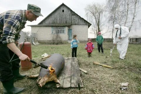 Чернобыль люди которые живут в чернобыле