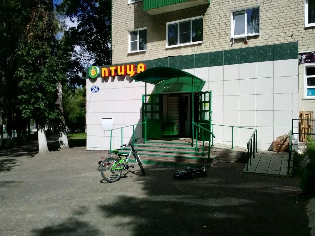 птица саранск магазины химмаш. васенко 11 саранск панорама. магазин птица. магазин птица саранск адреса. м.