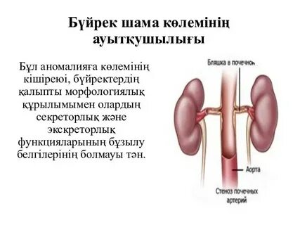 Гладиаторлар туралы тарихи порно фильмдерді қараңыз.
