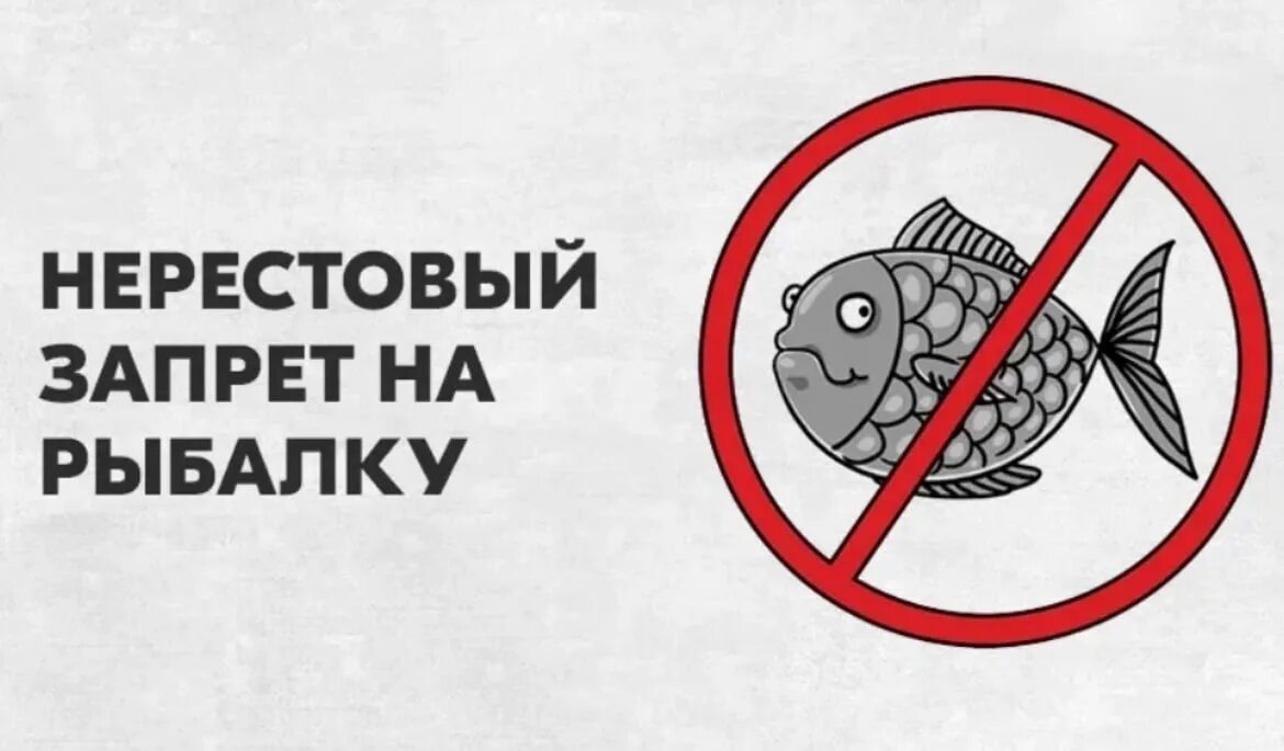 Нерестовый запрет в свердловской области 2024 году. Запрет на рыбалку. Запрет рыбной ловли. Нерестовый запрет 2022. Рыбалка запрещена.