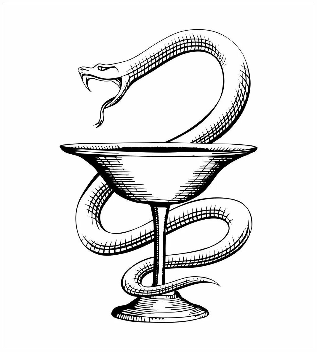 Символ врачевания. Какое животное символ медицины. Чаша со змеёй асклепий символ медицины. Змея над чашей символ медицины. Знак медицины.