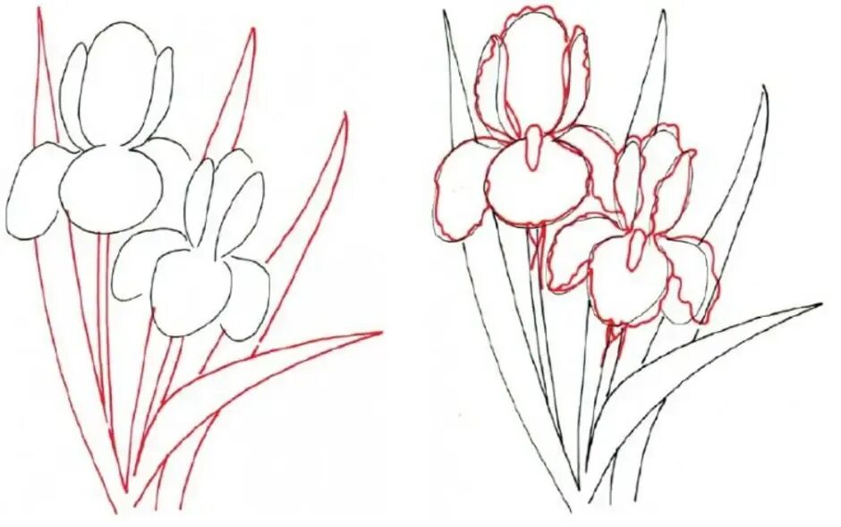 Как нарисовать цветы поэтапно для начинающих. Цветы рисунок. Рисование цветов. Цветы рисунок карандашом. Поэтапное рисование цветов.