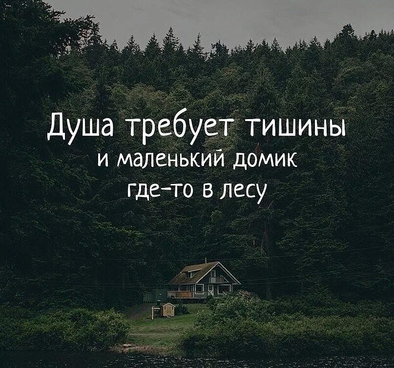 Иди лесом выражение